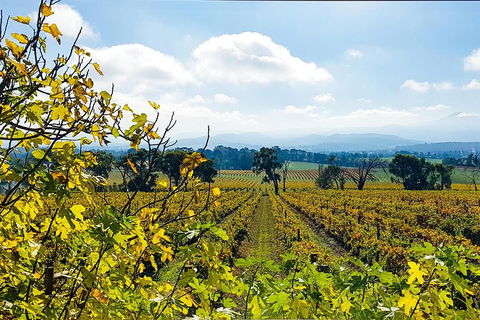 Alternative Yarra Valley Wine Tasting Tour Departing From Melbourne - Accommodation Melbourne 4