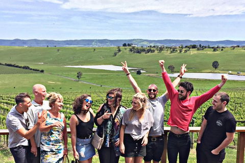 Alternative Yarra Valley Wine Tasting Tour Departing From Melbourne - Accommodation Melbourne 2