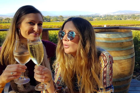 Alternative Yarra Valley Wine Tasting Tour Departing From Melbourne - Accommodation Melbourne 5