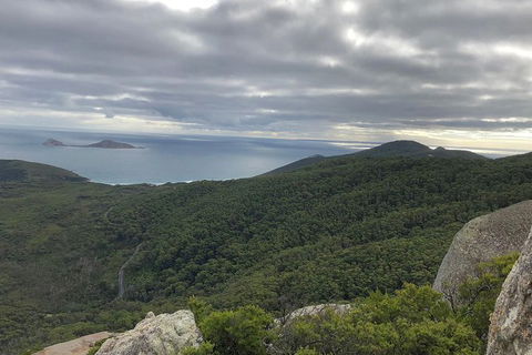 Wilsons Promontory Walking And Sightseeing Tour From Phillip Island - Accommodation Melbourne 5