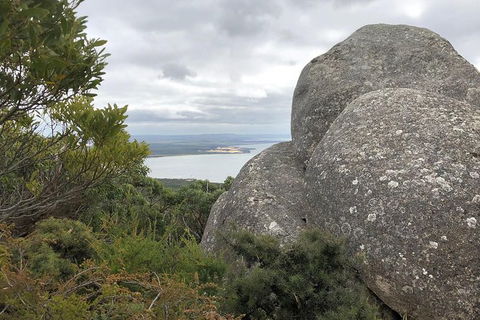Wilsons Promontory Walking And Sightseeing Tour From Phillip Island - Accommodation Melbourne 15