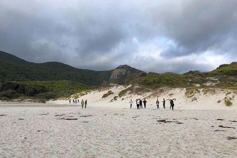 Wilsons Promontory Walking And Sightseeing Tour From Phillip Island - Accommodation Melbourne 4