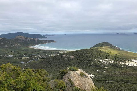 Wilsons Promontory Walking And Sightseeing Tour From Phillip Island - Accommodation Melbourne 12