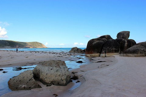 Wilsons Promontory Walking And Sightseeing Tour From Phillip Island - Accommodation Melbourne 10
