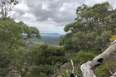 Wilsons Promontory Walking And Sightseeing Tour From Phillip Island - Accommodation Melbourne 13