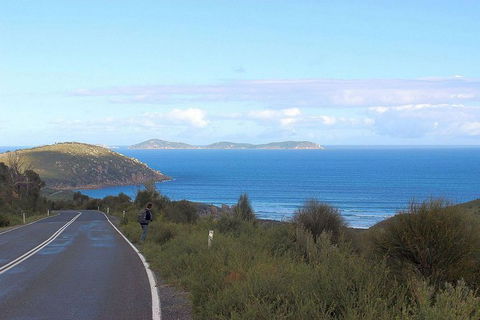 Wilsons Promontory Walking And Sightseeing Tour From Phillip Island - Accommodation Melbourne 2