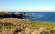 Phillip Island Walking & Bird Watching Tour - thumb 0