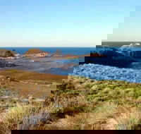 Phillip Island Walking  Bird Watching Tour - Accommodation Melbourne