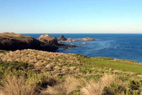 Phillip Island Walking & Bird Watching Tour - Accommodation Melbourne 0