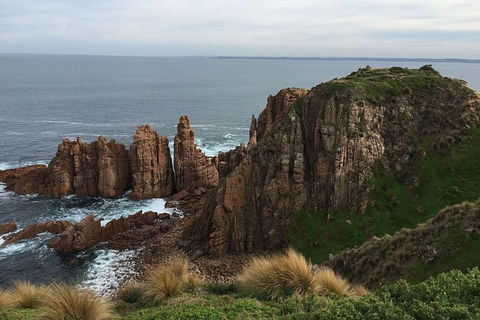 Phillip Island Walking & Bird Watching Tour - Accommodation Melbourne 8