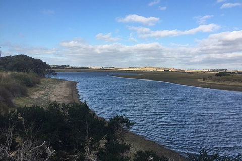 Phillip Island Walking & Bird Watching Tour - Accommodation Melbourne 7