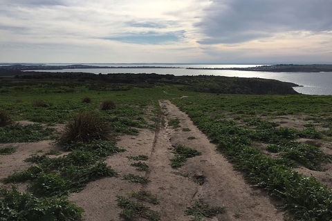 Phillip Island Walking & Bird Watching Tour - Accommodation Melbourne 4