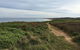 Phillip Island Walking & Bird Watching Tour - thumb 5