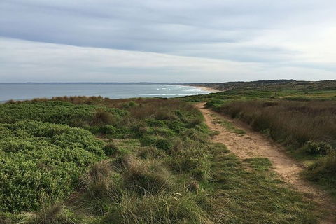 Phillip Island Walking & Bird Watching Tour - Accommodation Melbourne 5