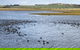 Phillip Island Walking & Bird Watching Tour - thumb 6