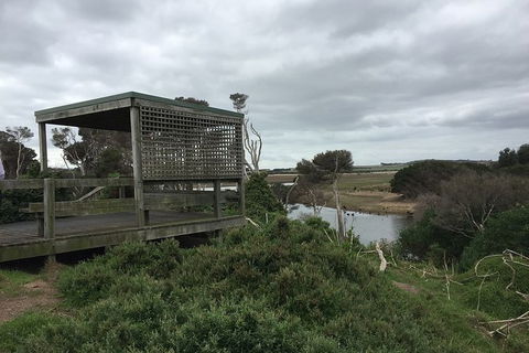 Phillip Island Walking & Bird Watching Tour - Accommodation Melbourne 2