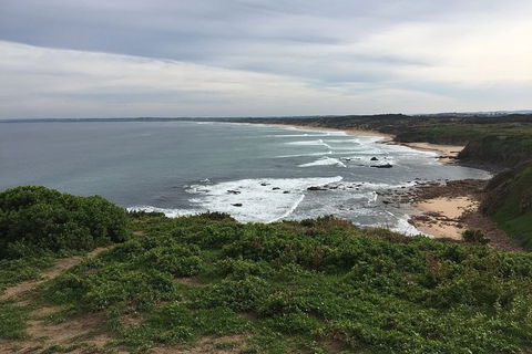 Phillip Island Walking & Bird Watching Tour - Accommodation Melbourne 1