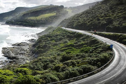 Great Ocean Road Sunset Tour From Melbourne - Accommodation Melbourne 5