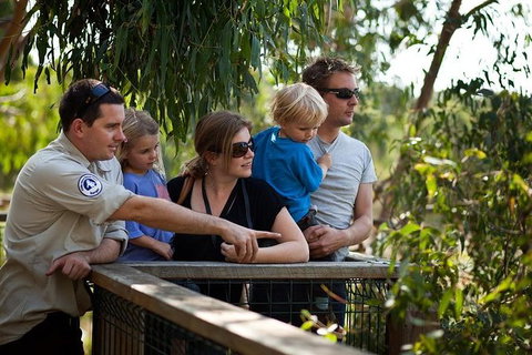Phillip Island Koala Conservation Centre: Entry Ticket - Accommodation Melbourne 1