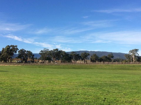 Yarra Valley Wineries And Puffing Billy Steam Train Tour From Melbourne - Accommodation Melbourne 17