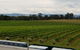 Yarra Valley Wineries And Puffing Billy Steam Train Tour From Melbourne - thumb 4
