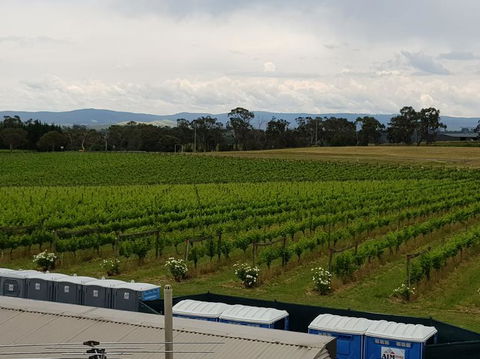 Yarra Valley Wineries And Puffing Billy Steam Train Tour From Melbourne - Accommodation Melbourne 4