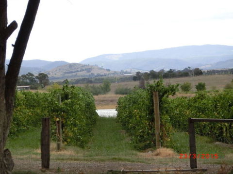 Yarra Valley Wineries And Puffing Billy Steam Train Tour From Melbourne - Accommodation Melbourne 25