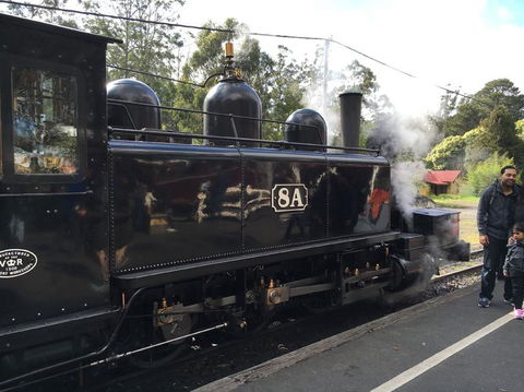 Yarra Valley Wineries And Puffing Billy Steam Train Tour From Melbourne - Accommodation Melbourne 13