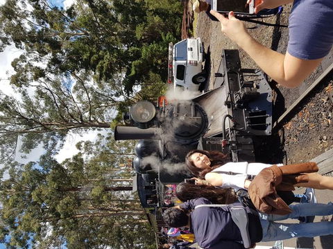 Yarra Valley Wineries And Puffing Billy Steam Train Tour From Melbourne - Accommodation Melbourne 5