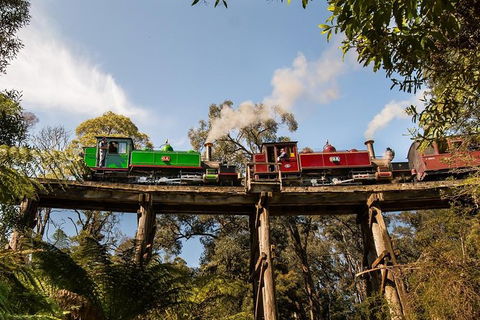 Yarra Valley Wineries And Puffing Billy Steam Train Tour From Melbourne - Accommodation Melbourne 32