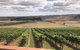 Yarra Valley - Shed Festival - thumb 0