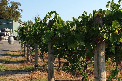 Wine Tasting Tour In The Yarra Valley - Accommodation Melbourne 0