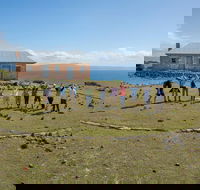 Maria Island Active Day Trip from Hobart - Accommodation Melbourne