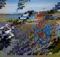 Port Arthur and Lavender Farm Active Day Tour - Accommodation Melbourne
