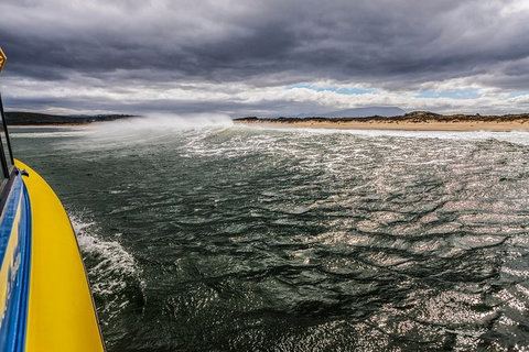 Hobart Sightseeing Cruise Including Iron Pot Lighthouse - Accommodation Melbourne 8