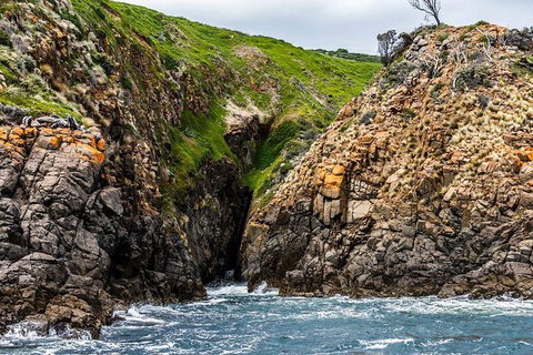Hobart Sightseeing Cruise Including Iron Pot Lighthouse - Accommodation Melbourne 3