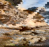 Maria Island premium private photo-oriented day tour from Hobart - Accommodation Melbourne