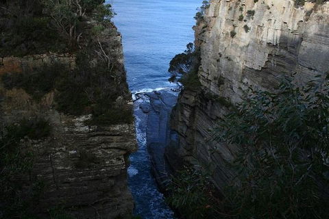 Cruise Ship Special From Port Arthur: Explore Tasman Peninsula With Free WiFi - Accommodation Melbourne 1