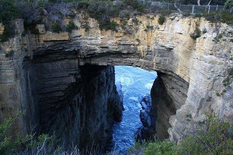 Cruise Ship Special From Port Arthur: Explore Tasman Peninsula With Free WiFi - Accommodation Melbourne 0