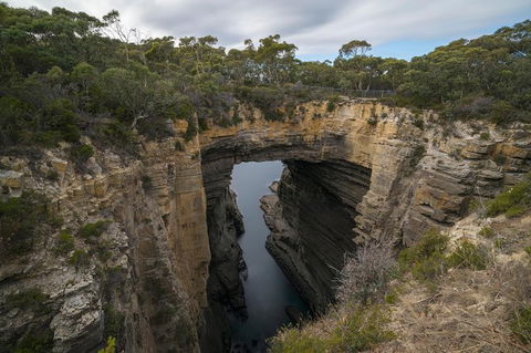 Cruise Ship Special From Port Arthur: Explore Tasman Peninsula With Free WiFi - Accommodation Melbourne 2