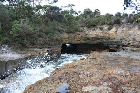 Cruise Ship Special From Port Arthur: Explore Tasman Peninsula With Free WiFi - Accommodation Melbourne 7