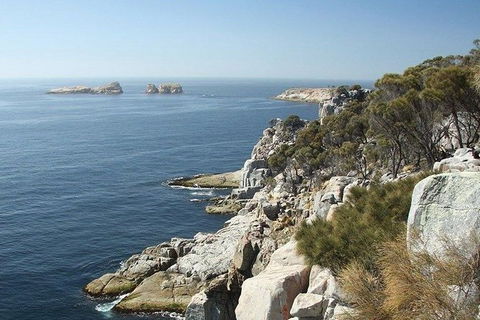 Great Walks Of Australia: 4-Day Freycinet Experience Walk - Accommodation Melbourne 10
