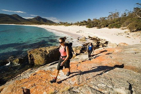 Great Walks Of Australia: 4-Day Freycinet Experience Walk - Accommodation Melbourne 5