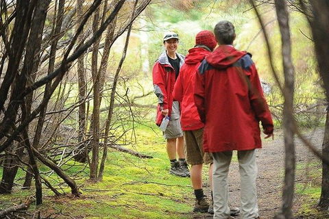 Great Walks Of Australia: 4-Day Freycinet Experience Walk - Accommodation Melbourne 7
