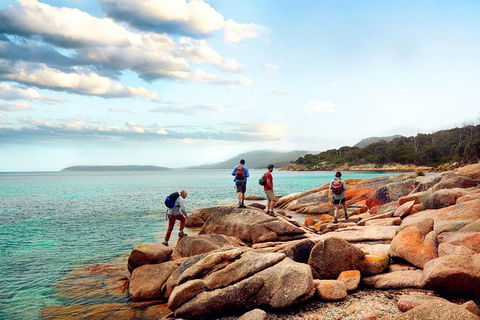 Great Walks Of Australia: 4-Day Freycinet Experience Walk - Accommodation Melbourne 2