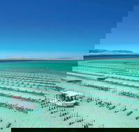 Coffin Bay Day Tour - A Taste of Coffin Bay - Accommodation Melbourne
