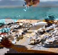 Experience Coffin Bay Short and Sweet Oyster Farm Tour - Accommodation Melbourne