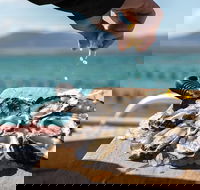 Experience Coffin Bay Oyster Farm and Bay Tour - Accommodation Melbourne