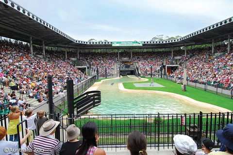 Croc Express To Australia Zoo From Brisbane - Accommodation Melbourne 12