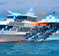 Poseidon Outer Great Barrier Reef Snorkeling and Diving Cruise from Port Douglas - Accommodation Melbourne